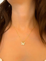 KIT METAMORFOSE BANHADO A OURO 18K